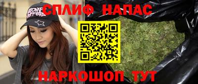 трава Сланцы