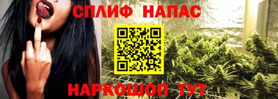 мдпв Славгород