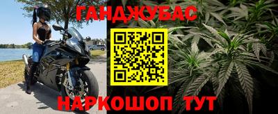 трава Сланцы