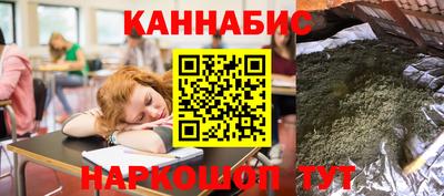 трава Сланцы