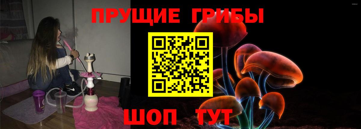 Владимир  Псилоцибиновые грибы прущие грибы  Галлюциногенные грибы Magic Shrooms  продажа наркотиков  Вход с VPN 